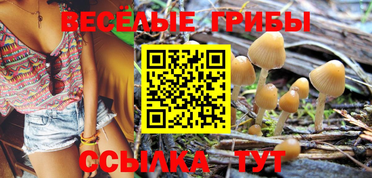 Ивантеевка  Псилоцибиновые грибы Cubensis  Галлюциногенные грибы прущие грибы  Вход с VPN 