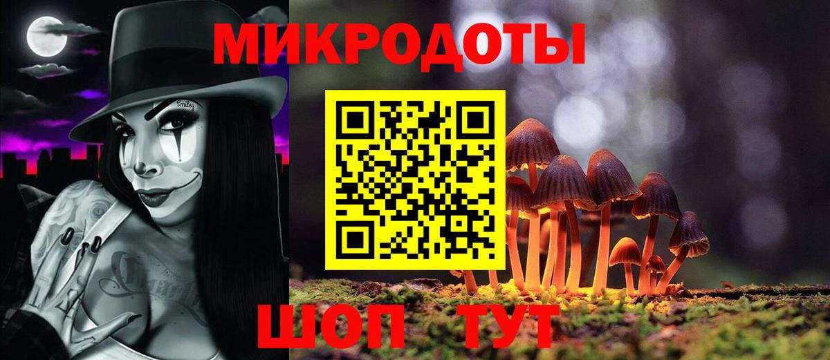Галлюциногенные грибы Psilocybine cubensis Ивантеевка